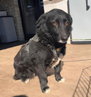 /album/18/whatsapp-image-2026-04-17-at-11-09-39-jpeg/